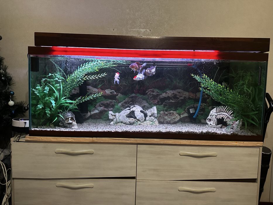 Аквариму 550л в комплекте