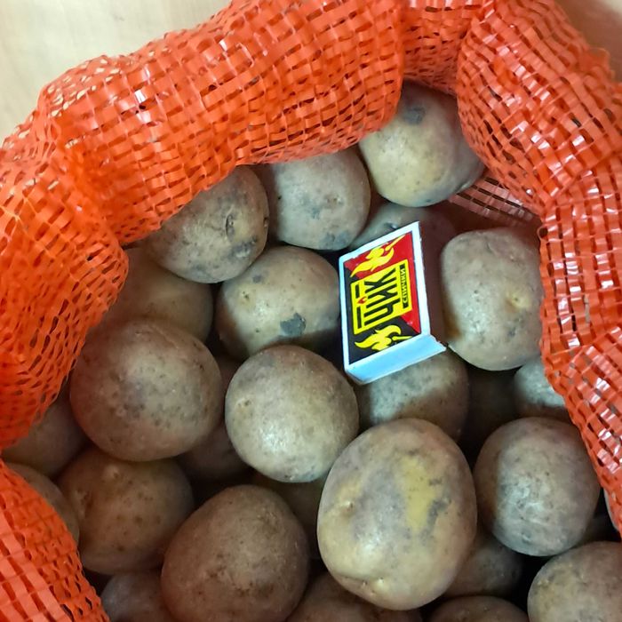 Картофель семенной "Гала"