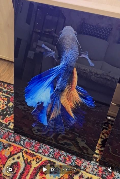 Картина "Рыба" на стекле 40×60