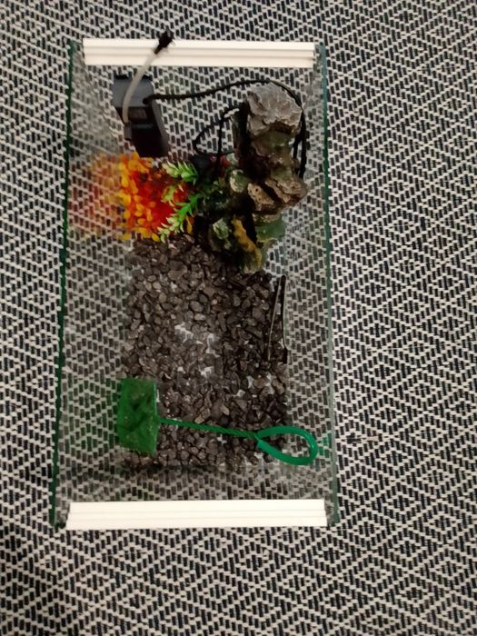 Аквариум 30 литра