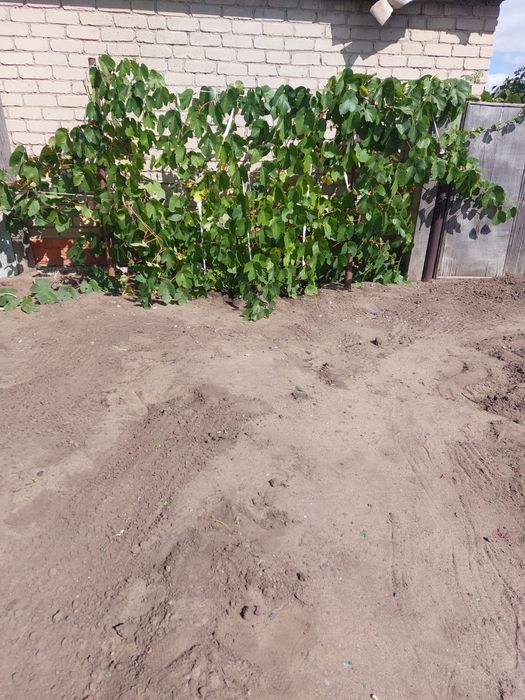 Дача в 7 обществе