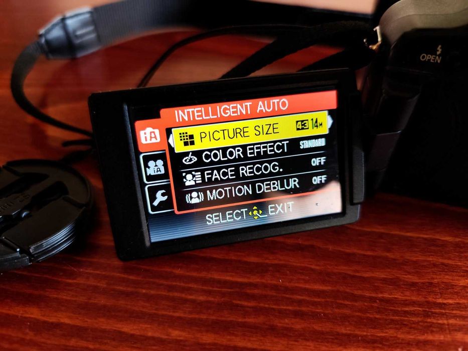 Panasonic Lumix DMC - FZ100