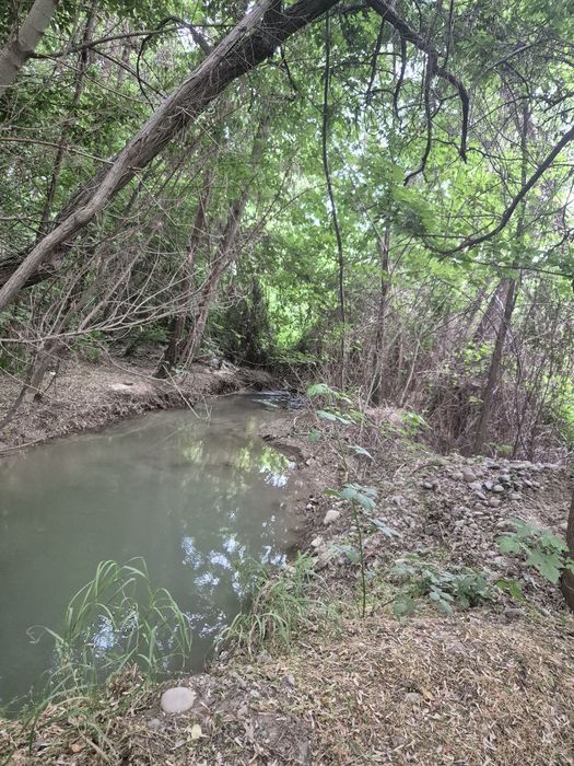 Участок Зангиота мечеть.