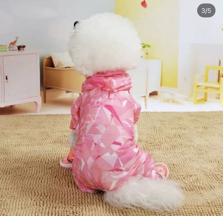 одежда для животных