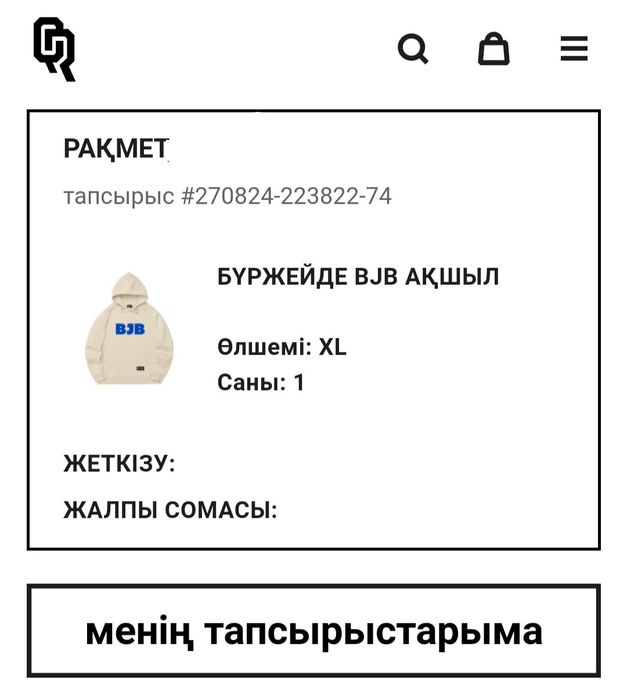 Худи Qazaq Republic BJB