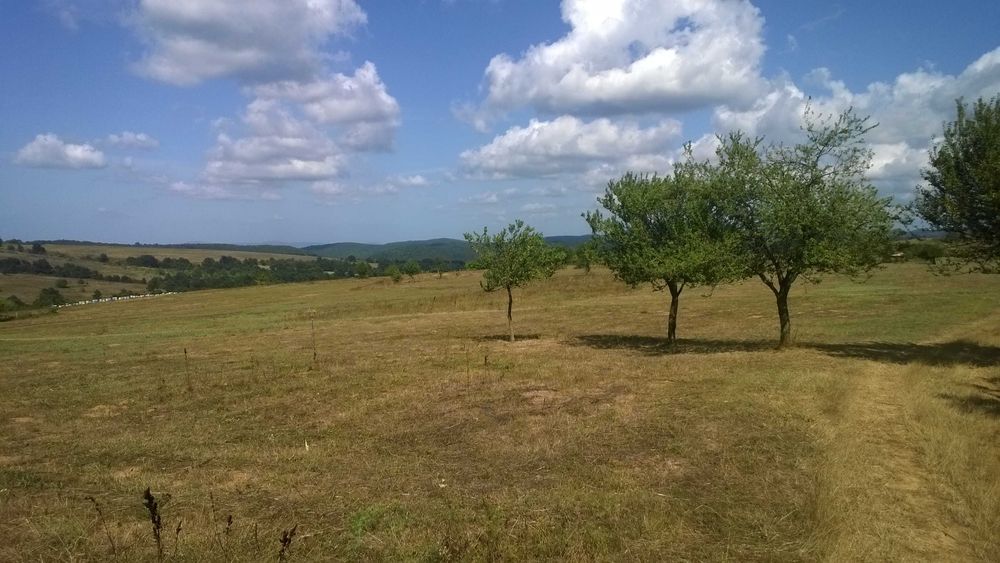 Продава се Земеделски имот в с. Индже войвода, Област Бургас -  кв.м за 7000 €/дка - Снимка #3