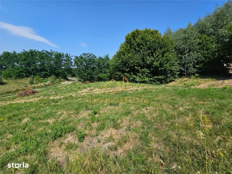 Alzza Real Estate – Teren intravilan de vanzare in Salicea, Cluj – 117