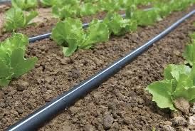 Banda de picurare power drip