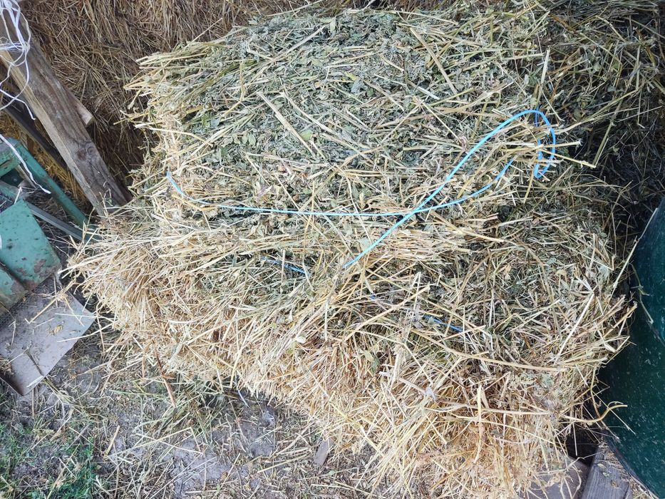 Baloți lucerna dreptunghiulari