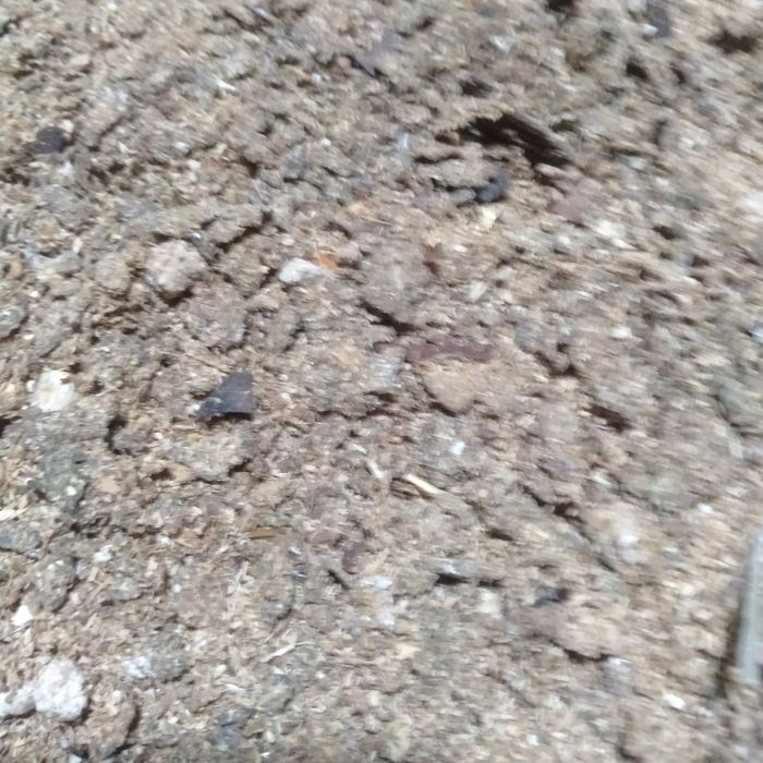 Жерге оғыт  .удобреня для земли