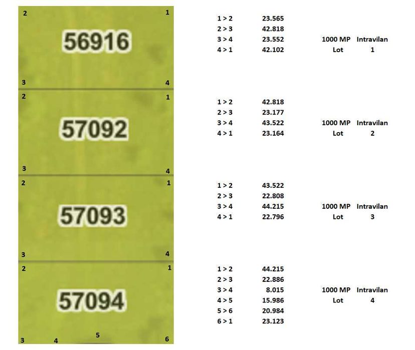 4 x 1000 mp Teren > Intravilane > PUZ, C.F, C.U. > Livezeni - Ivanesti