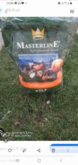 Yevropa Ispaniya Daniya oliy navli gazon urug'lari sotjladi.