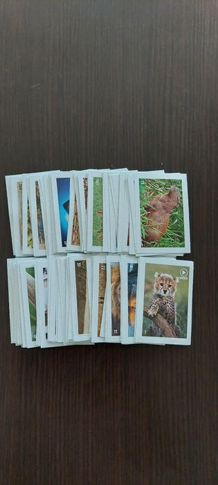 Стикери от албума  Animal Planet