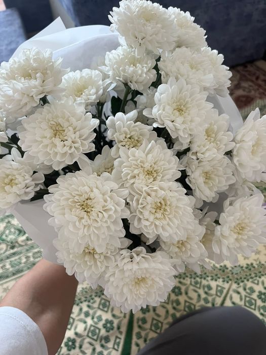 Цветы продам 5500