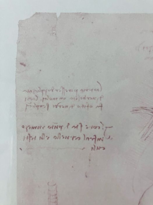 Litografie studiu anatomia inimii Leonardo da Vinci