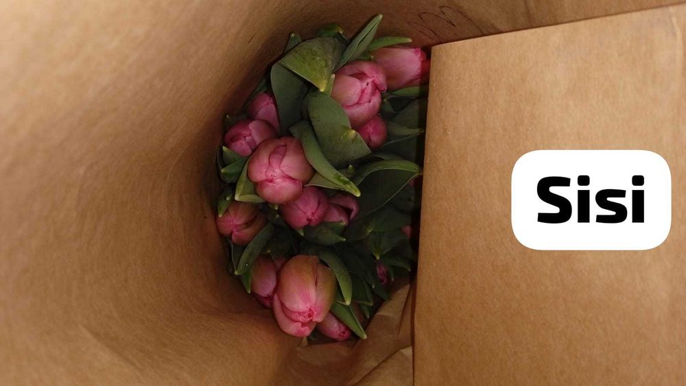 Тюльпаны Голландские свежие