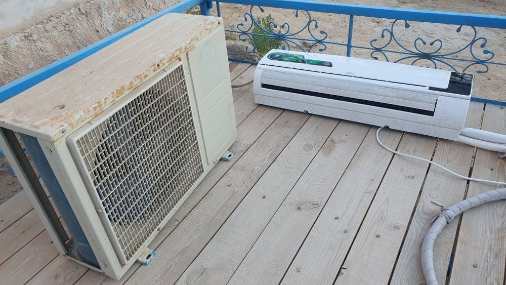 12 лик зима лето сатылады