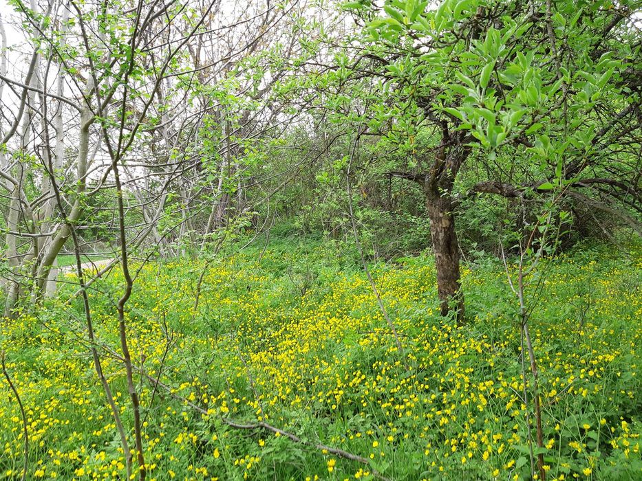 Продавам къща с парцел
с. Звезда, Търговище