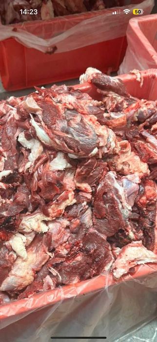 В продаже мясо головное