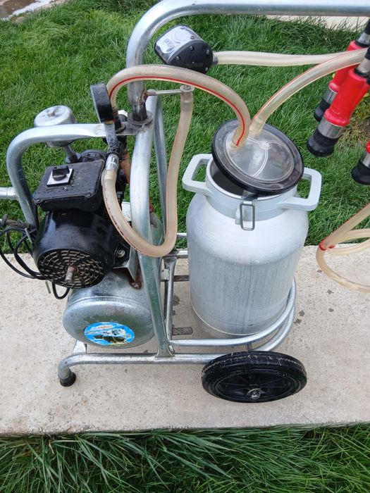 Aparat muls disponibil