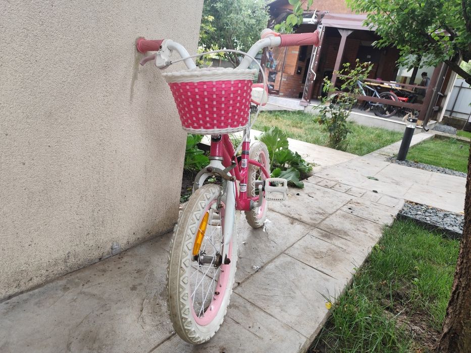 Bicicleta RoyalBabyStar