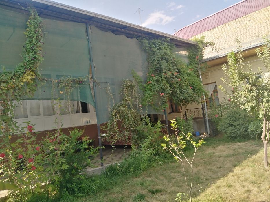 Зангота туман Назарбек Мевазор МФИ  жондор куча  9-уй 8-сотих