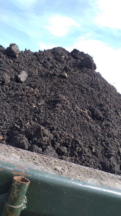 Черназем рыхлая