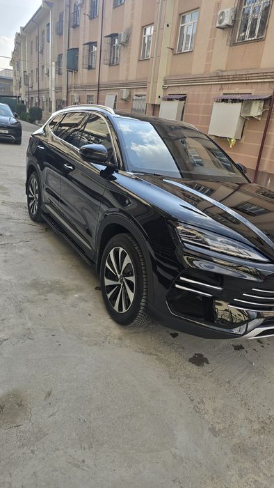 Бивайди чимпион гибрид