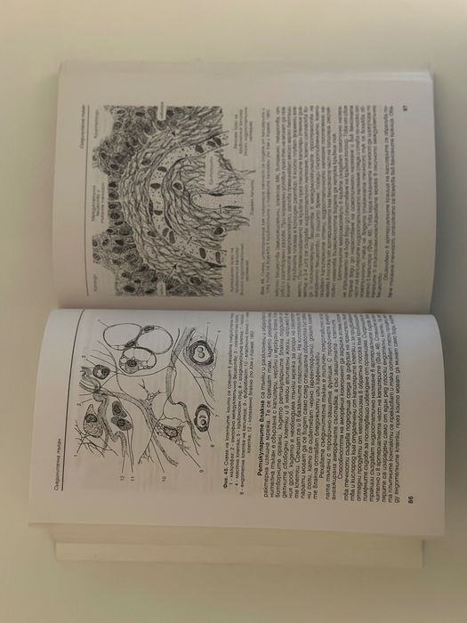 Веселин Пенков - Обща Хистология