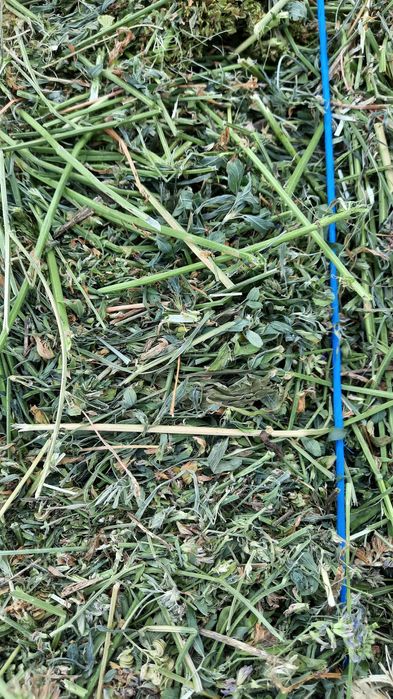 ‼️Vand 900 baloti de lucerna 2025 la alegere preț 40 lei‼️