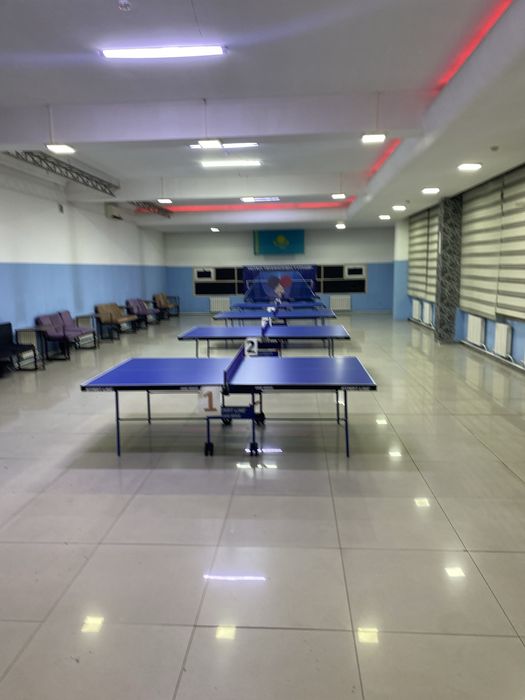 Настольные теннисные столы