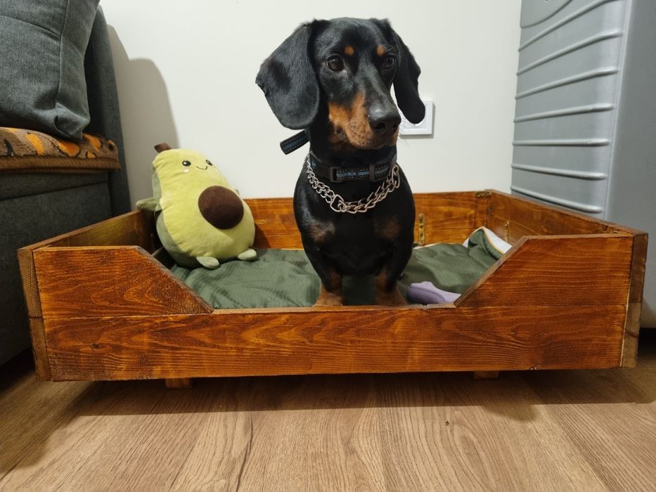 Pat lemn caine / pisici