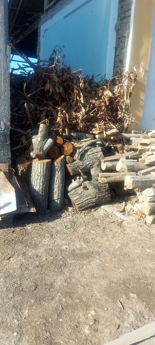 У'тин сотилади нарх келишилади