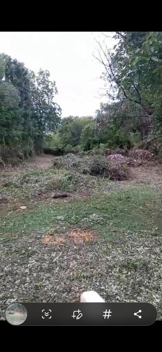 Defrișări  terenuri