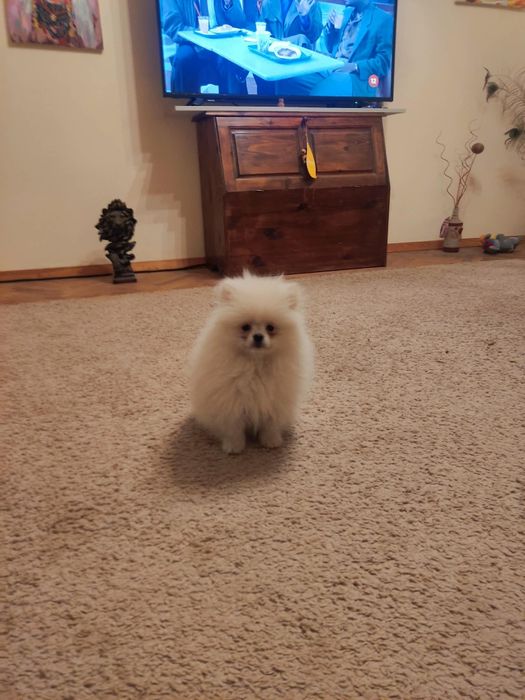 Момиче на 3 месеца