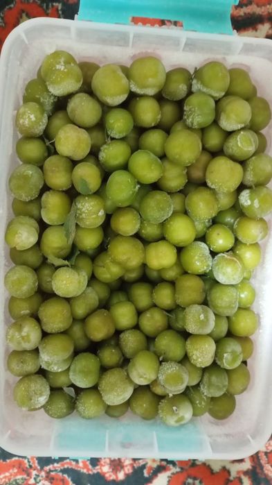 Dovcha bor kok sulton bor va ravoch bor