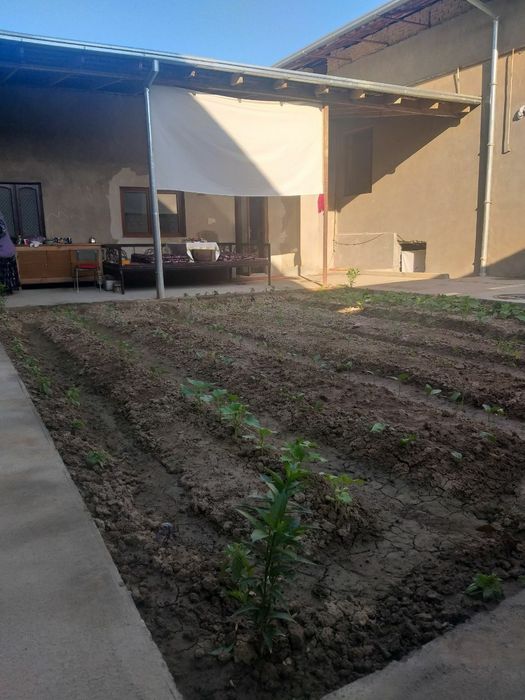 Ховли 4,4 сотих .Яшнабод тумани