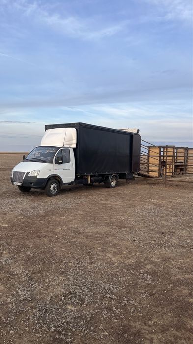 Скотовоз Газель