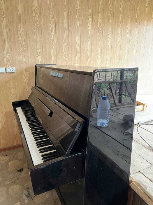 pionino Belarus tashkent