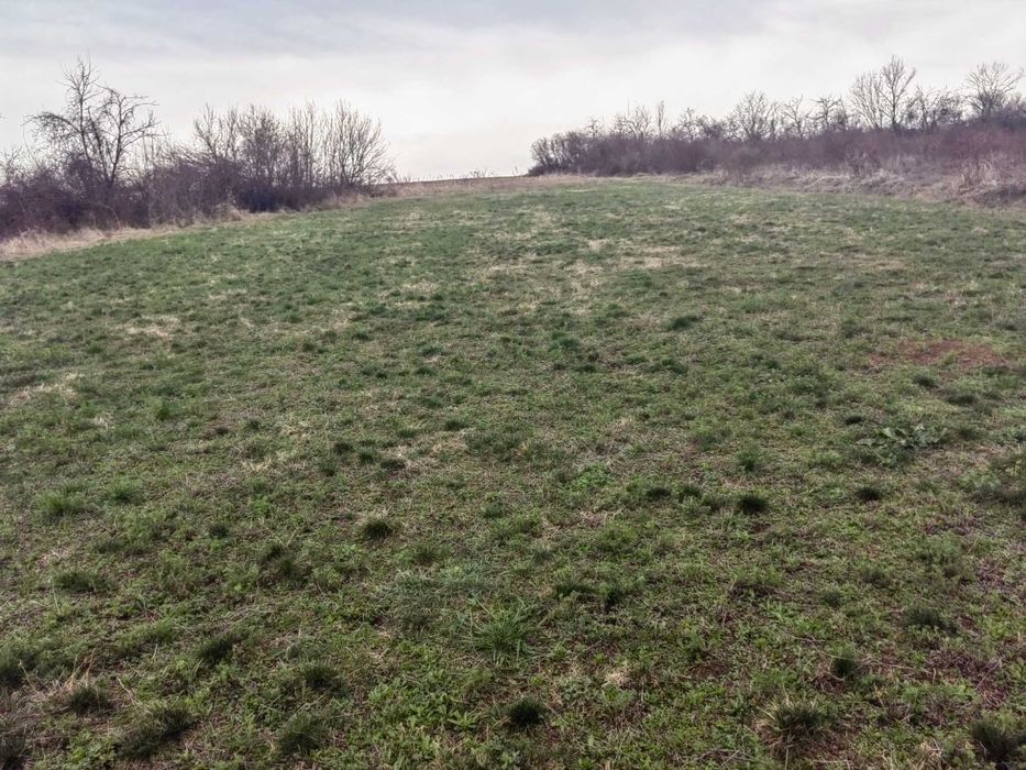 Продава се Парцел в с. Пчелище, Област Велико Търново - 1800 кв.м за 10 €/кв.м - Снимка #4