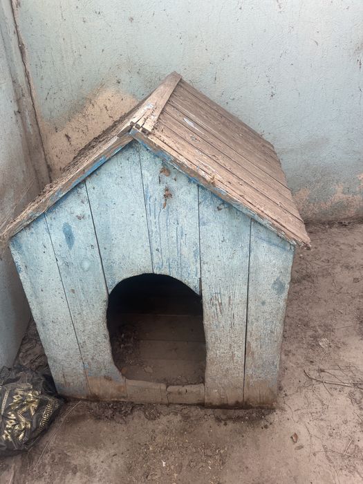 Будеа для собаки