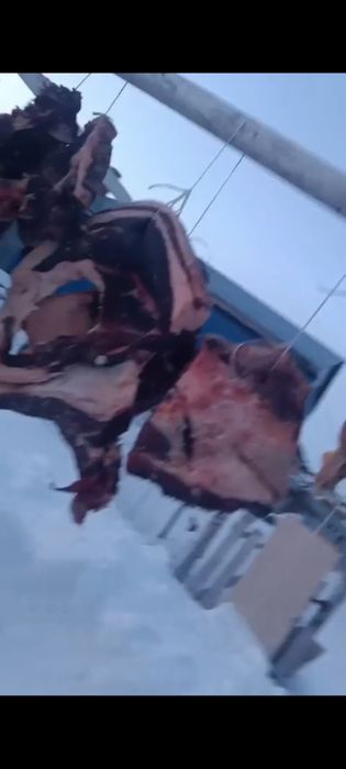 (Капчены) Сүр ет