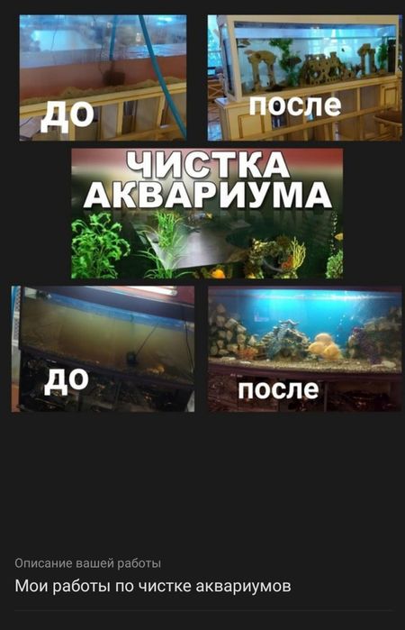 Чистка аквариума обслуживание аквариума качественно