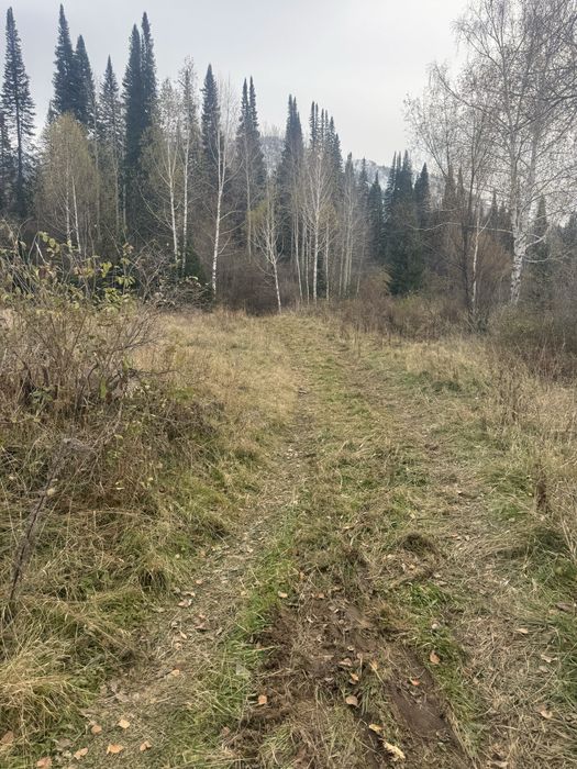 Продам отличный участок, в городе риддер.