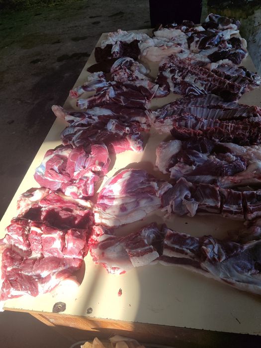 Qassob servis мясной услуги