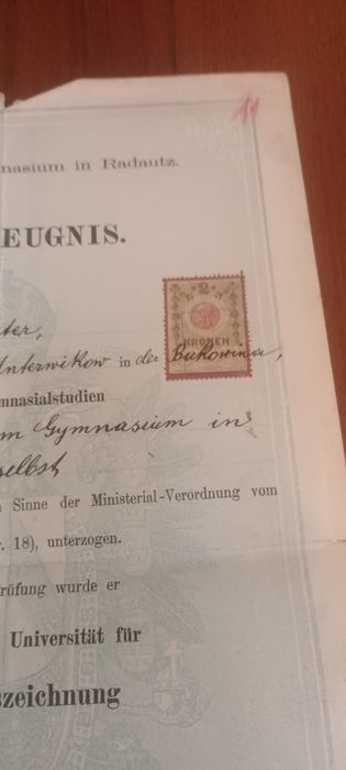 Document vechi,Petre Spanul Radautz