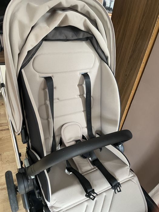 Chipolino elite 2024