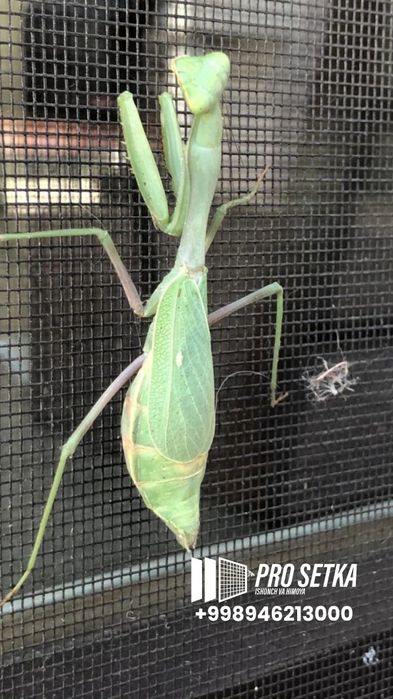 Москитные сетки москит | от комаров на окно | акфа сетка | moskit mask