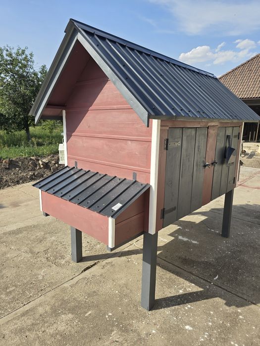 Cotet de găini  de vanzare