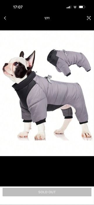 Яке за куче - ново